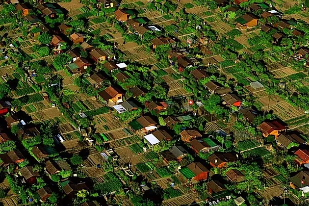 Holanda Horta