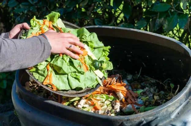 Imagem de Compostagem