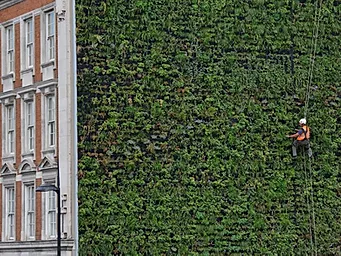 Jardim Vertical Prédio
