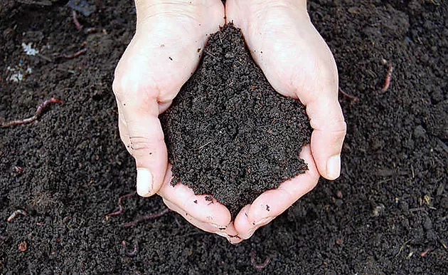 Adubo Terra de Composto
