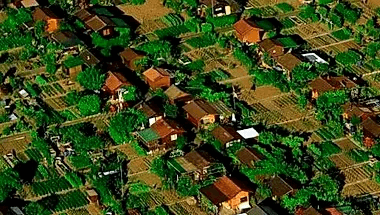 Cidade onde todo morador tem horta