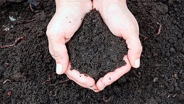 Orgânicos e compostagem